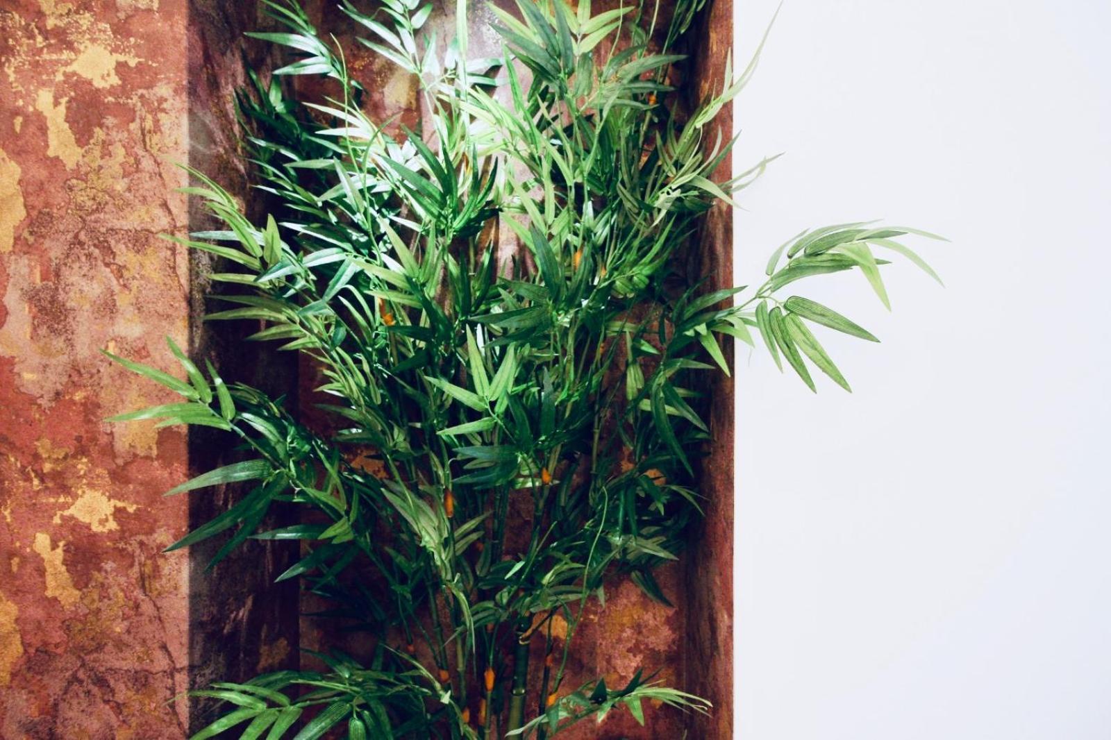 B&B Butterfly Suite Bitritto Εξωτερικό φωτογραφία